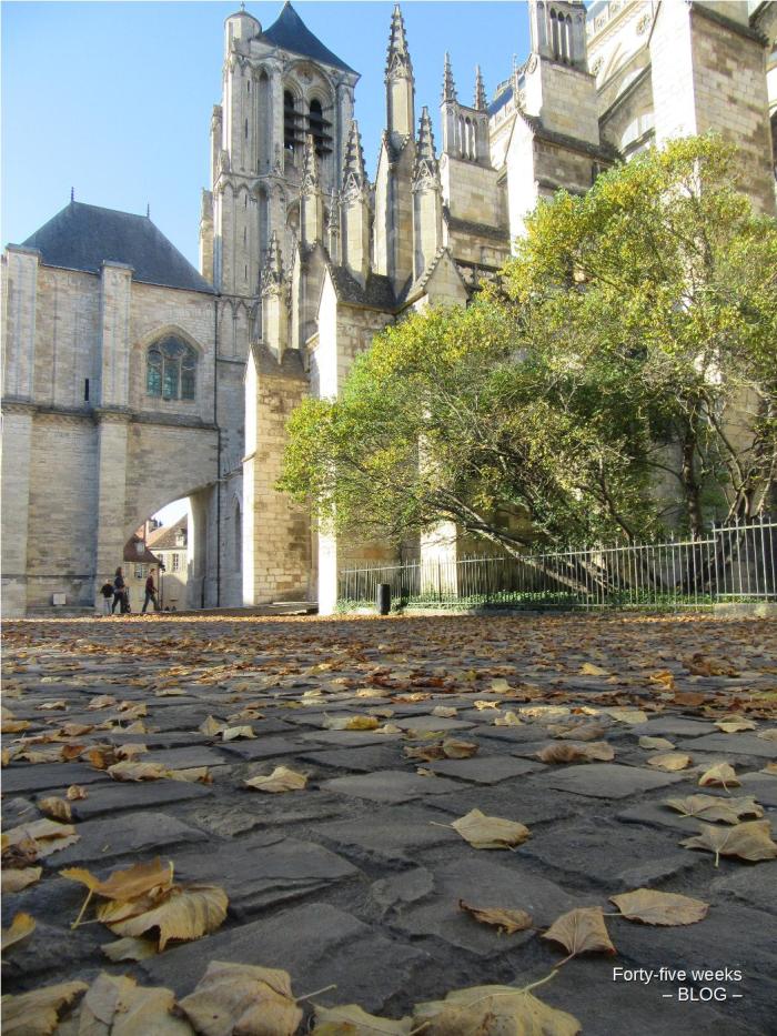 cathédrale de bourges feuilles automne.jpg